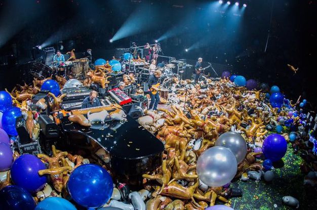 It rained inflatable cats and dogs during Phish's last performance at MSG on December 31st, 2016.